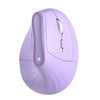 Ergonomic Wireless Mouse
