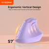 Ergonomic Wireless Mouse
