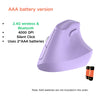 Ergonomic Wireless Mouse