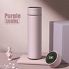 SmartTemp LED Thermos Bottle – 500ml