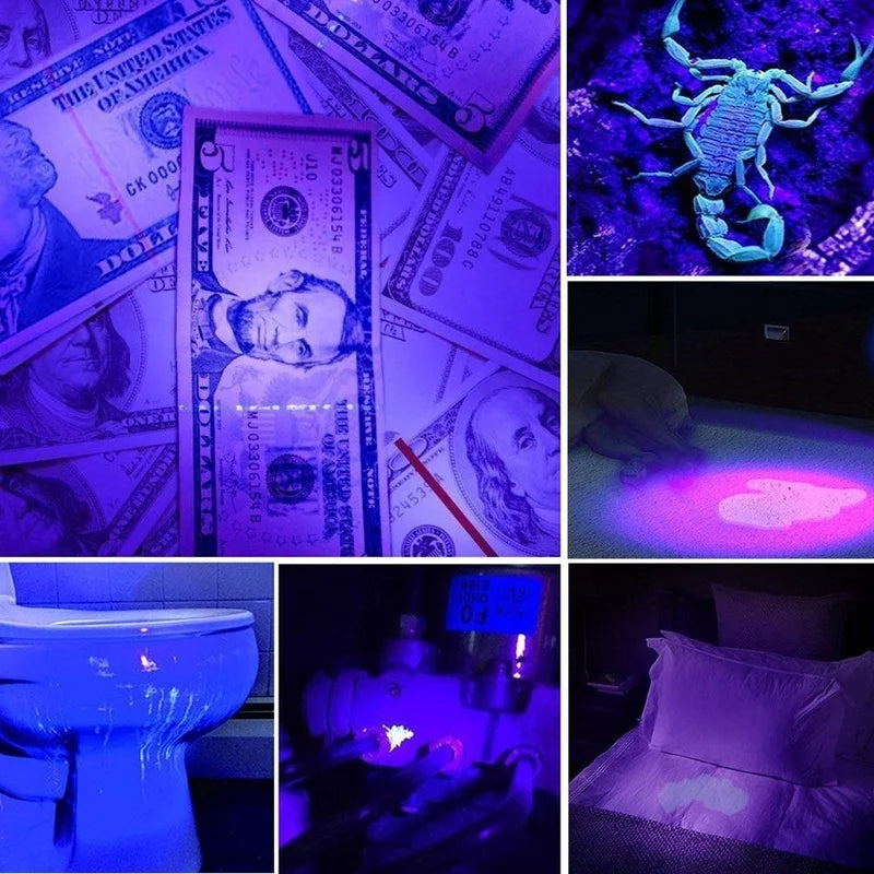 UV Flashlight Black Light Powerful Small Blacklight Flashlight UV Light